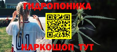 гашик Рязань