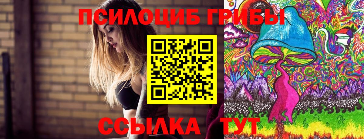 Галлюциногенные грибы MAGIC MUSHROOMS  Вход с VPN  Павловский Посад 